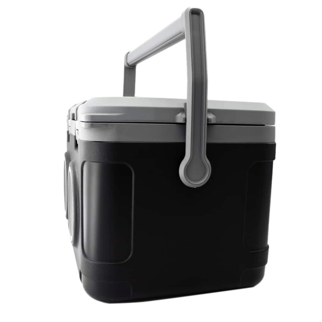 21L Cooler Box with Speaker, Portable PE Insulated Ice Box Cooler-PreOrder Sales Only!