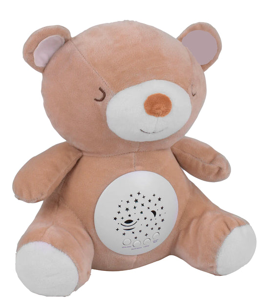 Sleeping Bear Induction Machine