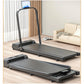 2-in-1 Fitness Foldable Electric Treadmill Space-Saving Machine Walking Running Pad