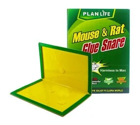 Mouse And Rat Glue Snare Trap