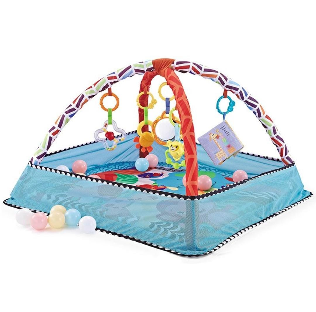 Baby Activity Gym & Foldable Play Mat with 18 Balls