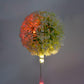 2Pcs Solar  Outdoor Garden Dandelion Lights