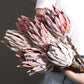 6 Realistic Artificial Protea Flowers