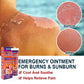 Burn Scald Ointment Burn Scar Removal Pain Relief Antibacterial Cream Repairing Skin Redness Swelling Anti Fungal Health Care