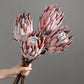 6 Realistic Artificial Protea Flowers