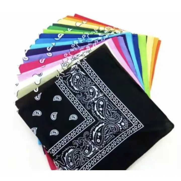 Paisley Print Bandana