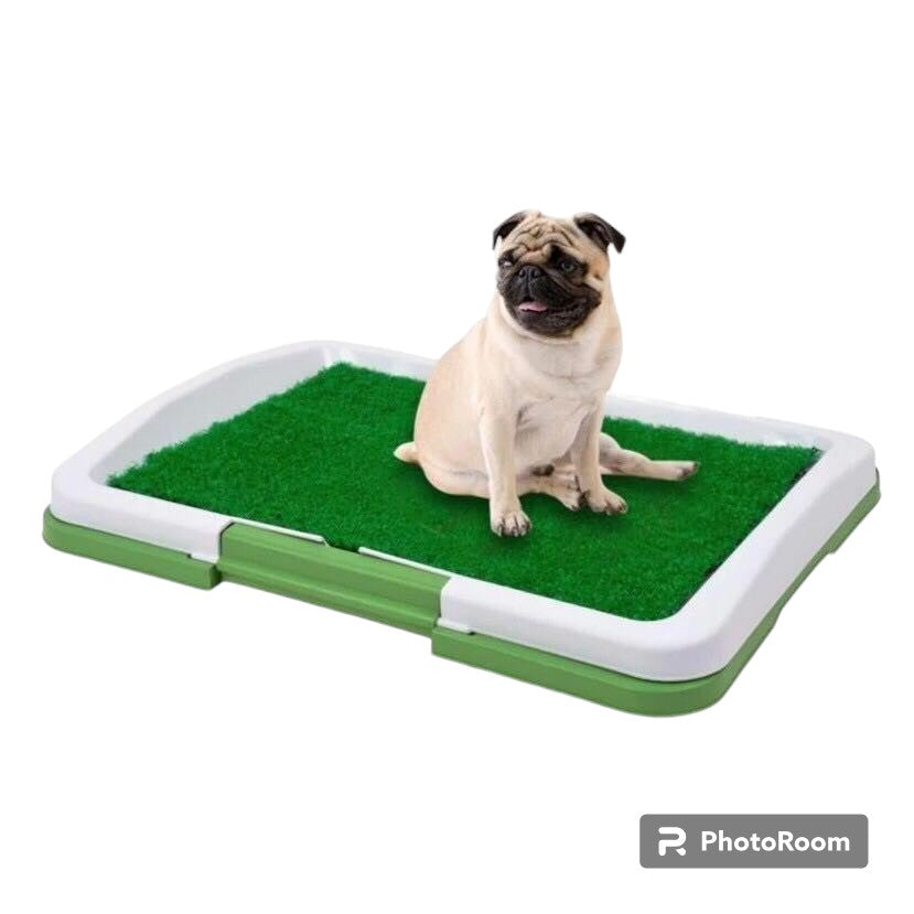 Potty Pad And Training For Cats and Dogs