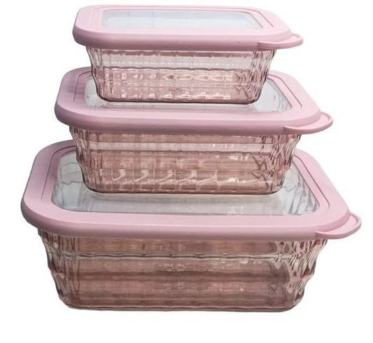 Fridge Container Set of 3 With Lids And Handles