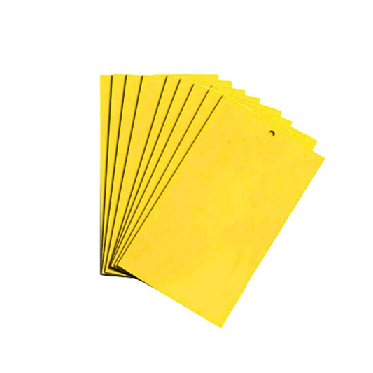 10pcs Fly Trap Glue Boards