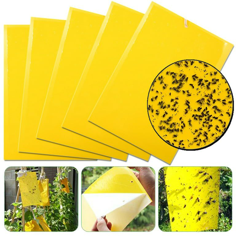 10pcs Fly Trap Glue Boards