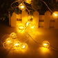 Christmas Warm White Lights 2M