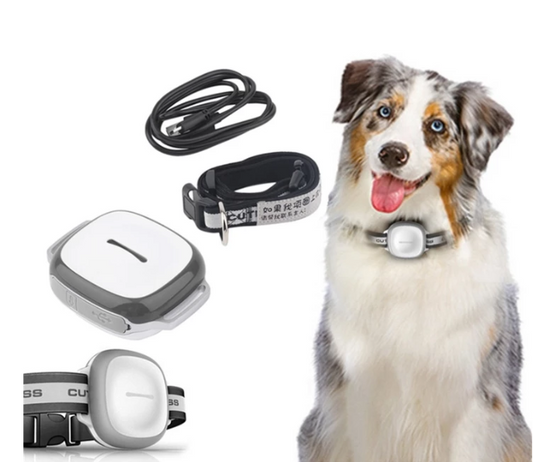 Trackable Dog Collar-GPS Tracker Waterproof IP66 Pet Collar GPS Locator Vibration Alarm Function Anti-Lost