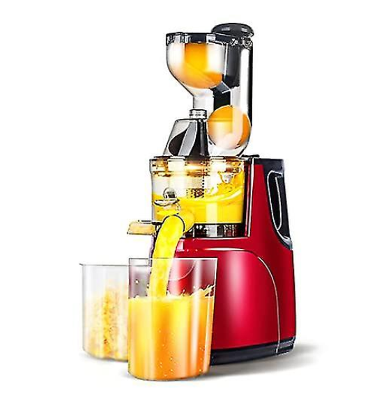 RAF Multifunction Slow Juicer Machine