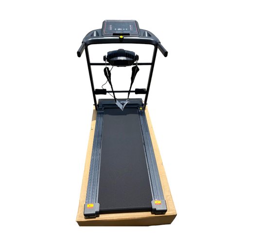 High Quality Electronic Treadmill IUBU-800T