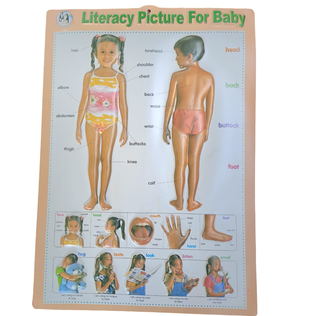 Back To School Learning  Chart