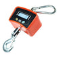 Digital Crane Scale Heavy Duty Industrial Hanging Scale 500kg