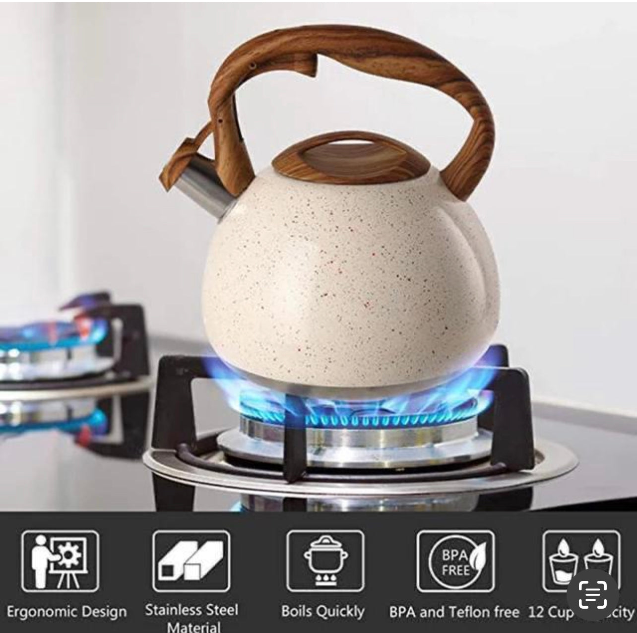 Stove Top Kettle 3L