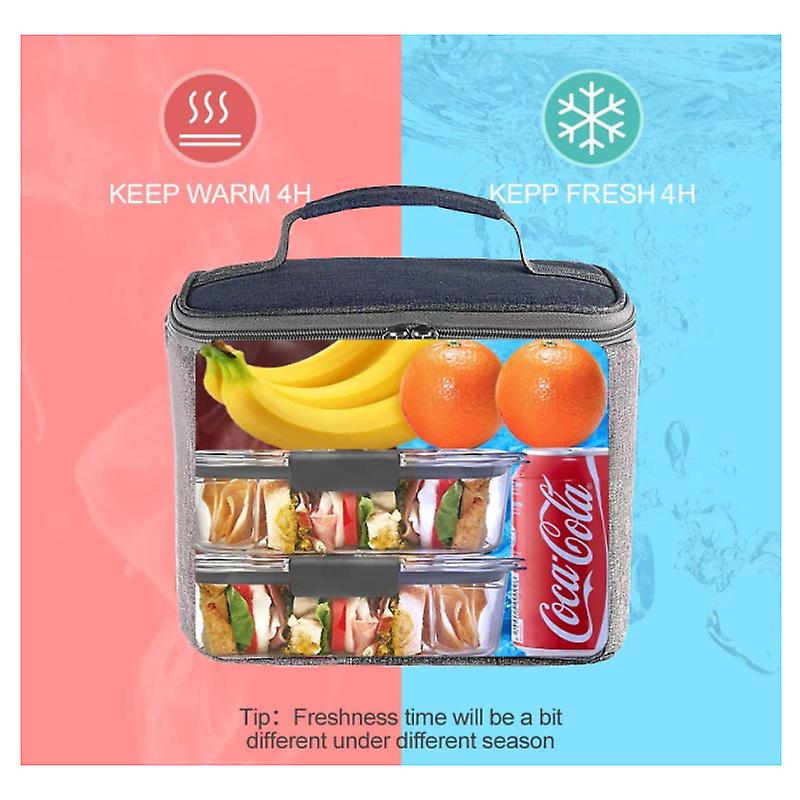 Insulated Lunch/Cooler Box