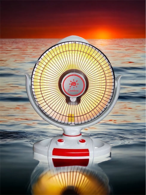 Halogen Heater Fan with Swivel & Turn Functions 800W  - ZR-4001