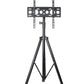 Adjustable 94 -158cm Tripod TV Stand With 45cm x 14cm Plate