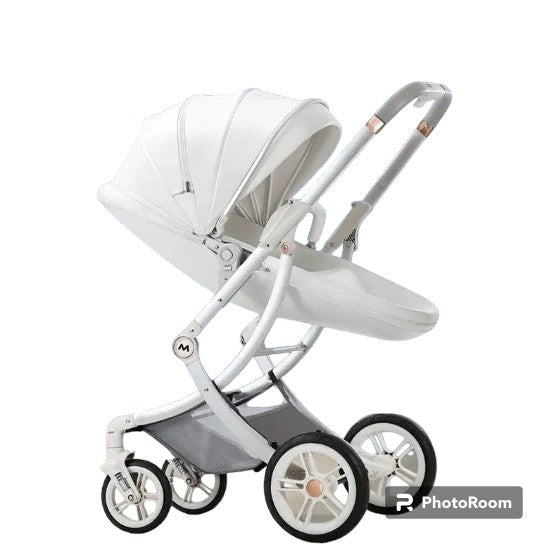 3-in-1 Baby Stroller