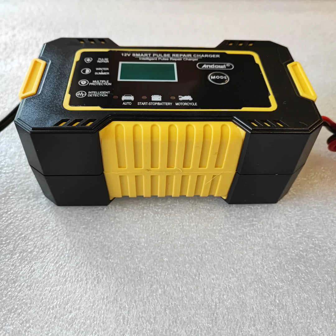 Andowl Repair 12V-24V Intelligent Pulse Charger DP672