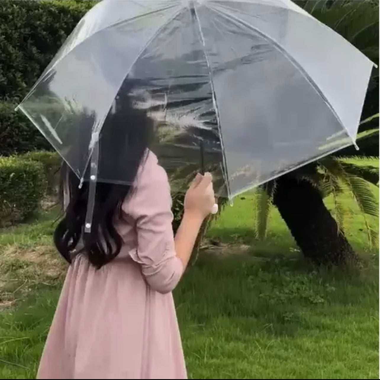 Clear Transparent Rain Umbrella