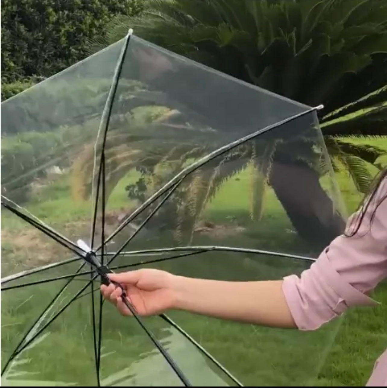 Clear Transparent Rain Umbrella