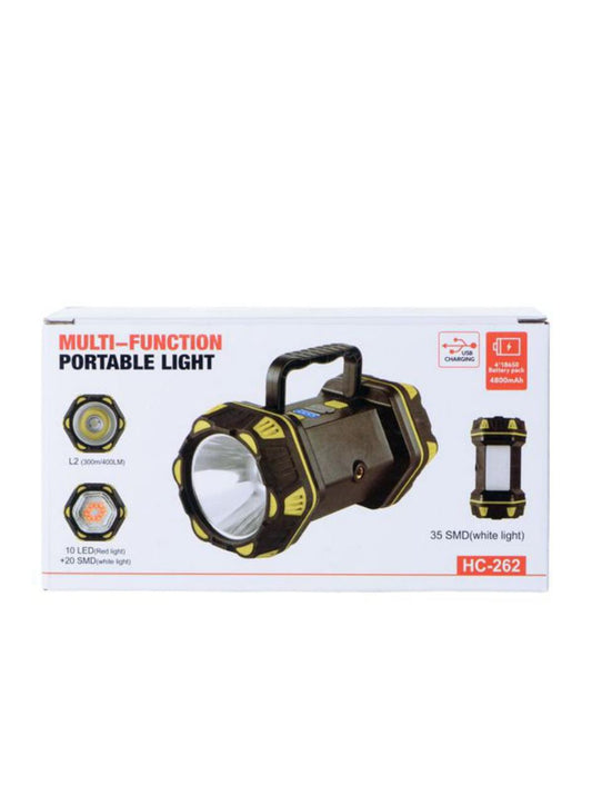 Multi-functional Portable Light