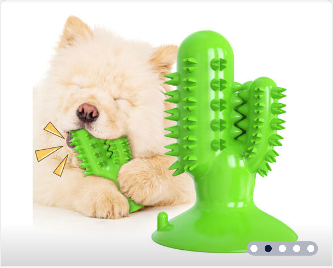 Doggie Toothbrush Molar Stick Cactus Shape