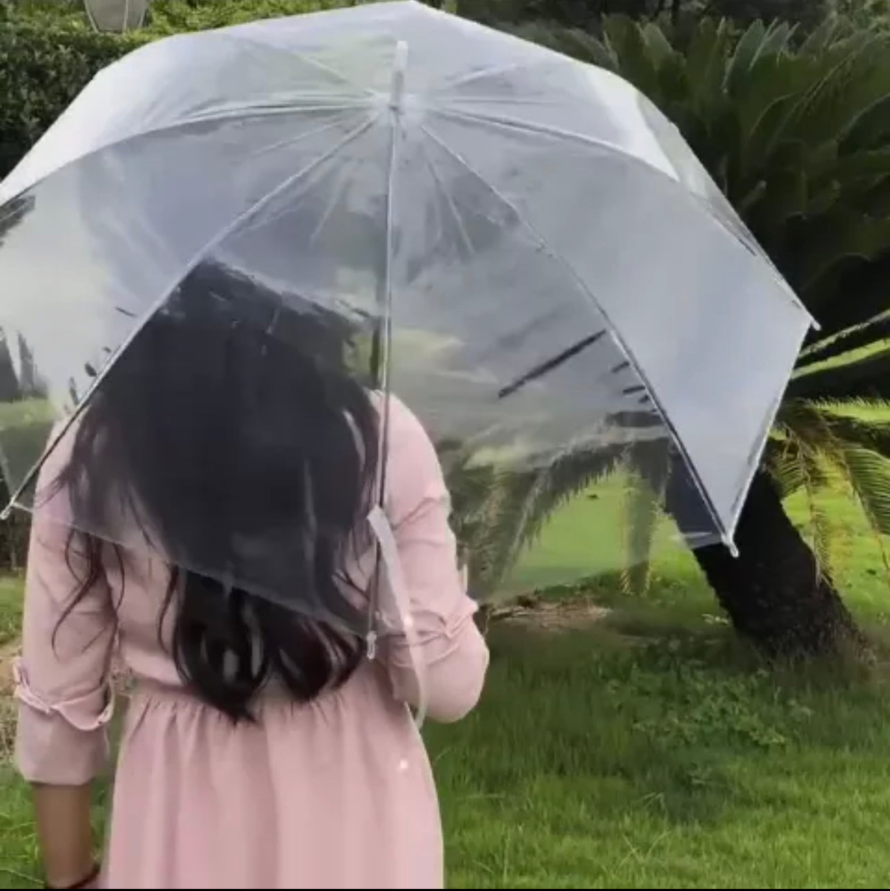 Clear Transparent Rain Umbrella