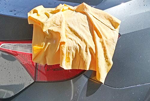 CarSun Chamois in Plastic Container