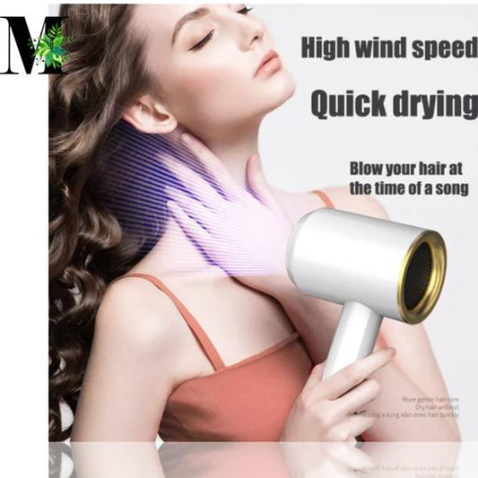 Duck Hair Dryer