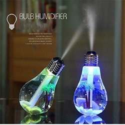 Bulb Humidifier