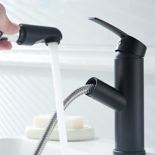 Basin  Faucet with pull out sprayer