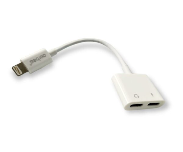 2 in 1 Lightning To Lightning And Lightning Adapter Cable