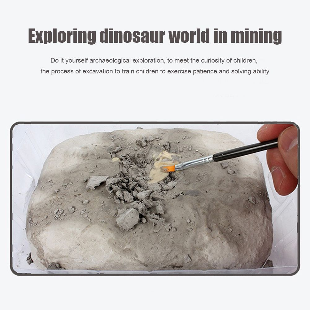 Kids DIY Dinosaur Fossil Archeology Toy