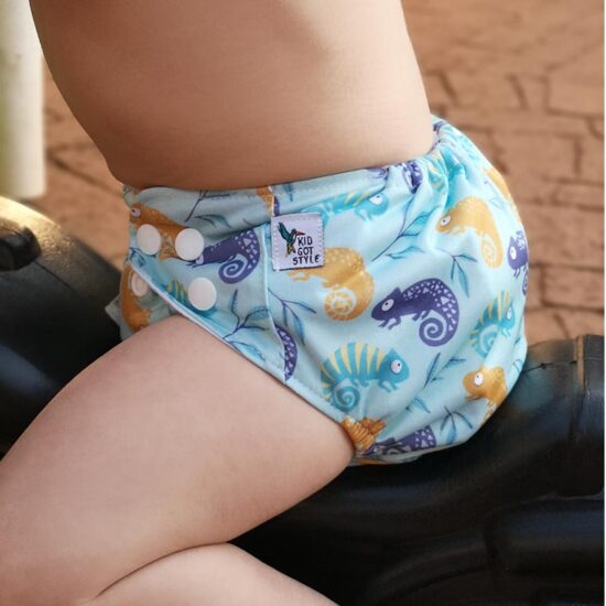 All in One Reusable Diaper