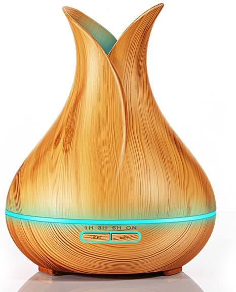 Essential Ultrasonic Aroma Diffuser & Oil