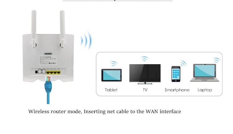 Wireless Data Router