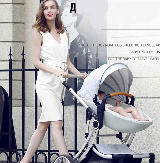 2 in 1 Luxury Stroller