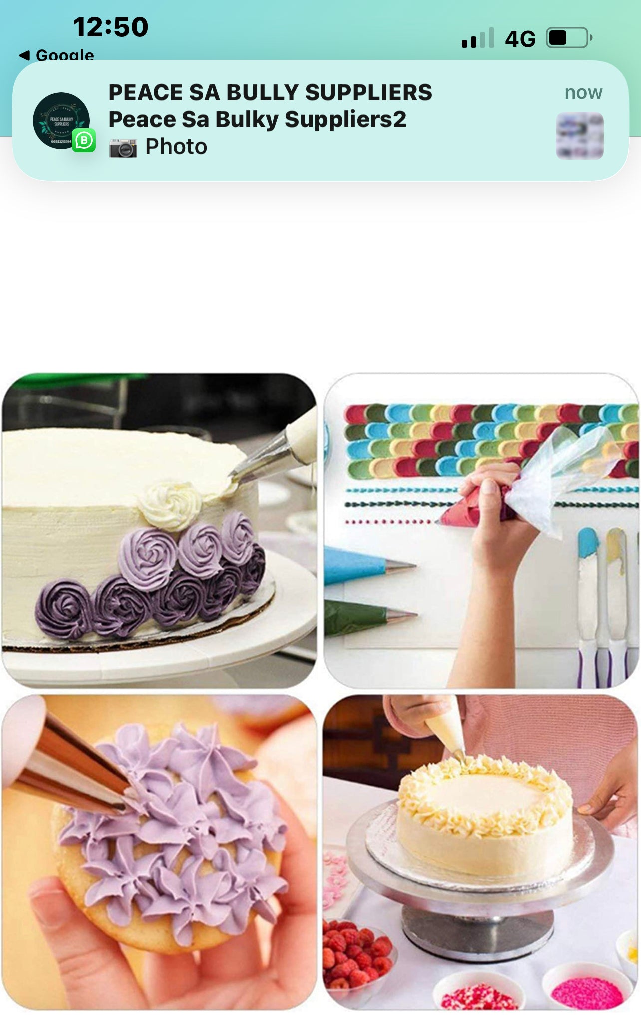 Cake Decorating Set 173pc