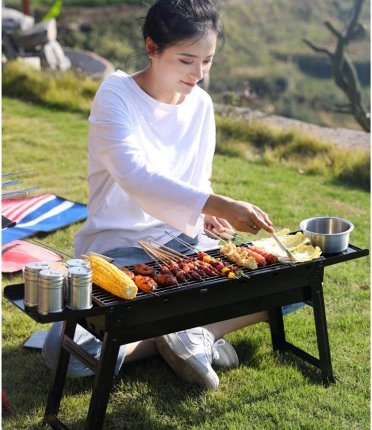 Retractable Braai Stand