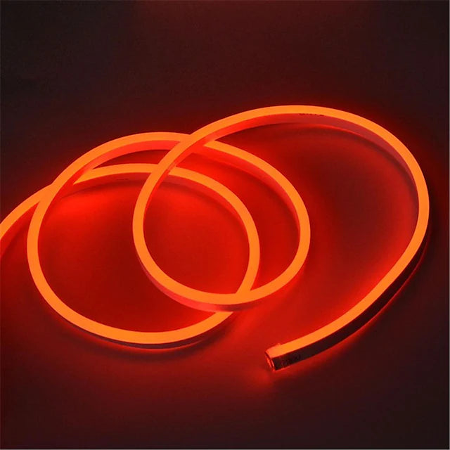 12V 5M LED Neon Strip Light